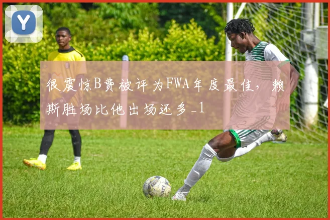 很震惊B费被评为FWA年度最佳，赖斯胜场比他出场还多_1